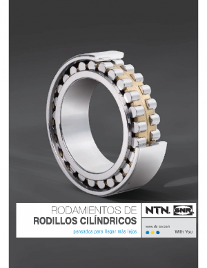 NTN-SNR Rodamientos de Rodillos Cilíndricos