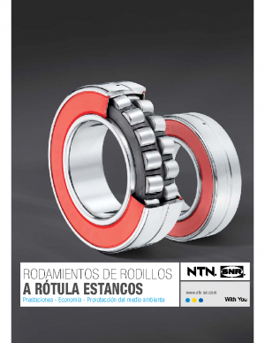 NTN-SNR Rodamientos de Rodillos a Rótula Estancos (SRB)